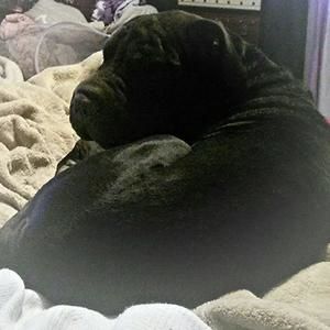 Meet your Posher, Joanne